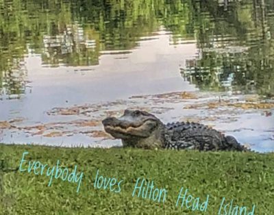 The Sea Turtle – Oceanfront 1st Floor Corner Villa