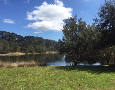 Seascapes –Now Available For Winter Rental! Steps To Beach/Pool