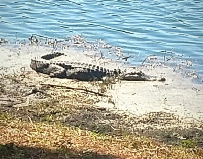 Seascapes –Now Available For Winter Rental! Steps To Beach/Pool