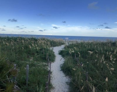 The Sand Dollar – 3rd Floor Ocean View–Many Upgrades