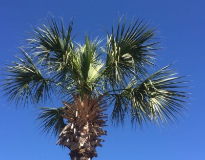 Seascapes –Now Available For Winter Rental! Steps To Beach/Pool